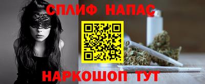Альфа ПВП Дубна